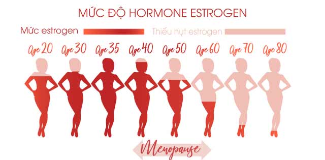 Mức độ Estrogen suy giảm dần theo độ tuổi dẫn đến thiếu Estrogen